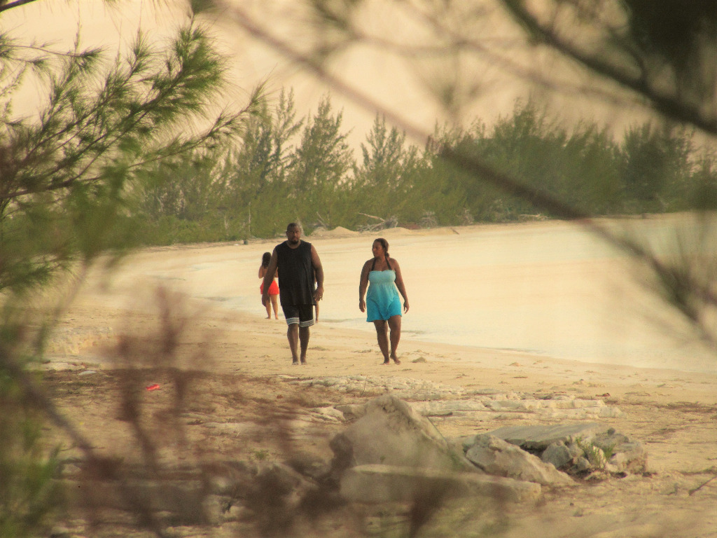 Strolling on the Beach cat Island